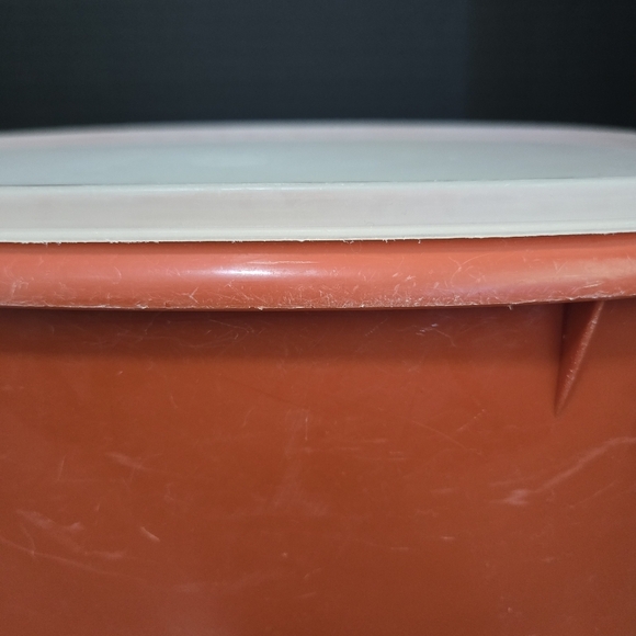 Orange Storage Container with White Lid - Picture 4 of 10